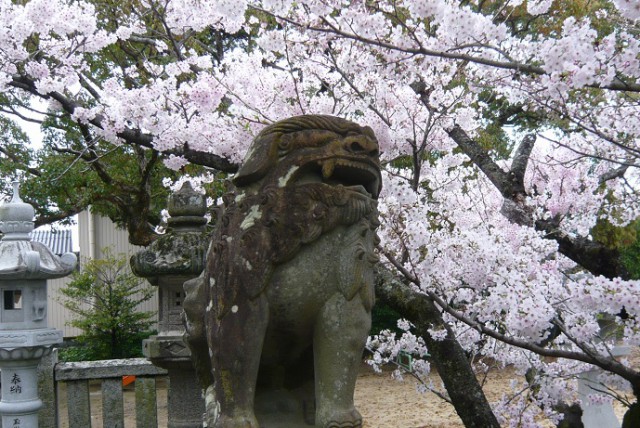 17番井戸寺の隣の神社の狛犬