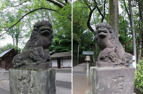 tomioka-fujiRL.jpg